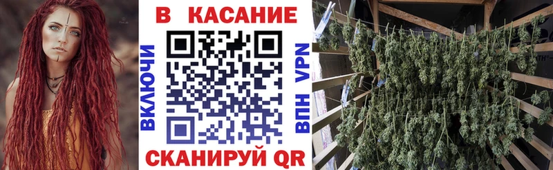 Наркотические вещества Сенгилей ЭКСТАЗИ АМФЕТАМИН Каннабис ГАШИШ Cocaine