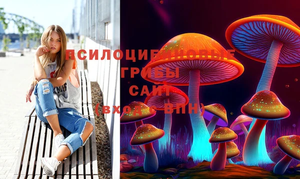 прущая мука Грязовец