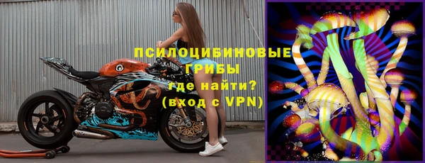 PSILOCYBIN Остров