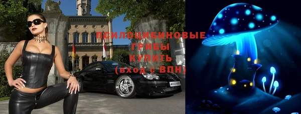 метадон Ельня