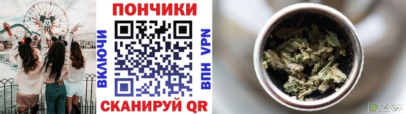 Конопля индика где купить наркотик даркнет официальный сайт Сенгилей